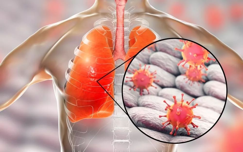 云游戏-上海海港发布备战花絮，今夜远射贴柱，法国杯任务艰巨，医务组通报恢复的简单介绍